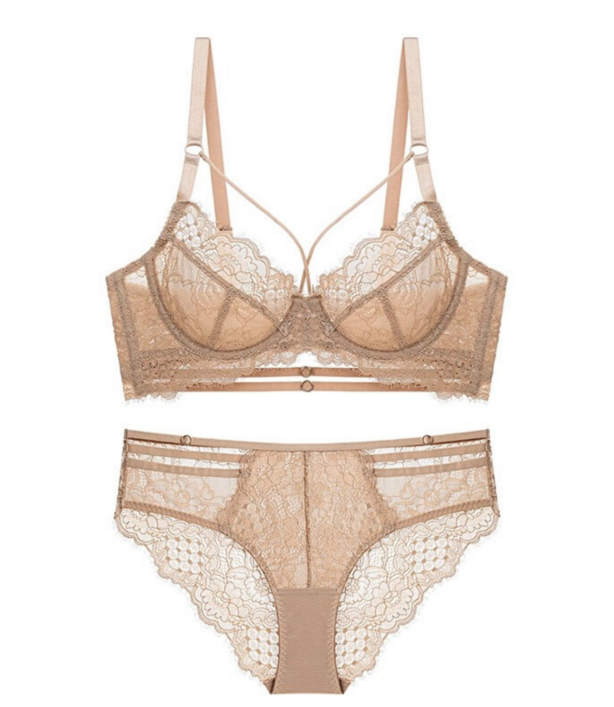 Black Swan Lace and Tulle Brief