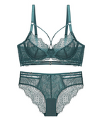 Black Swan Lace and Tulle Brief