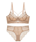 Black Swan Lace and Tulle Brief